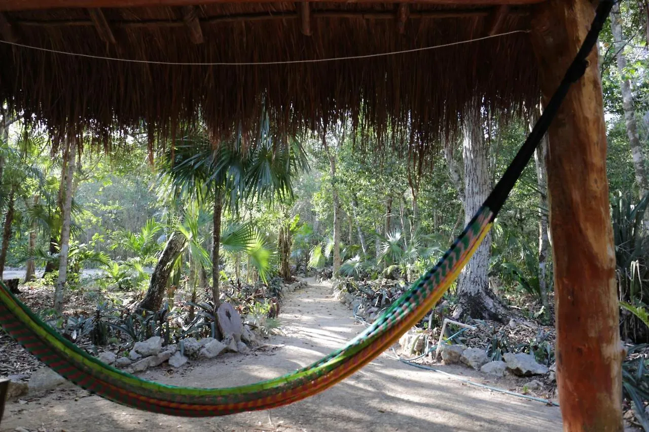 Cavelands In The Jungle Villa Chemuyil Mexico